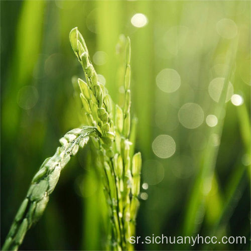 Пиринач / руж / ружа / пиће Адитив Витамин Б3-Храна